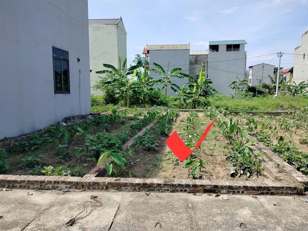 Bán đất 50m nở hậu quang minh mê linh sổ đỏ chính chủ