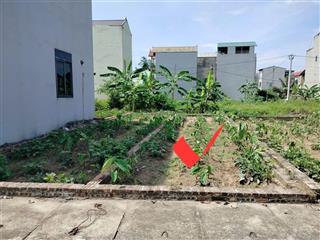 Bán đất 50m nở hậu quang minh mê linh sổ đỏ chính chủ