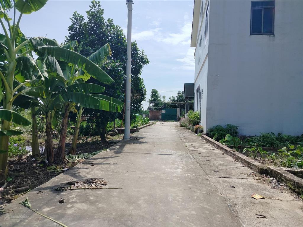 Bán đất 50m nở hậu quang minh mê linh sổ đỏ chính chủ