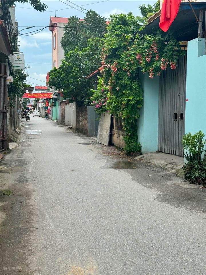 Siêu hiếm nhà cấp 4 chi đông, quang minh 59m chủ thu cứng chỉ 2,2 tỷ khó tìm lô thứ 2!