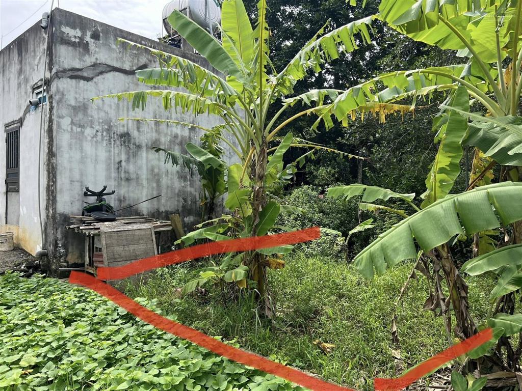 Bán đất phân lô 60m của cán bộ huyện uỷ lương sơn, dành cho người có tài chính nhỏ