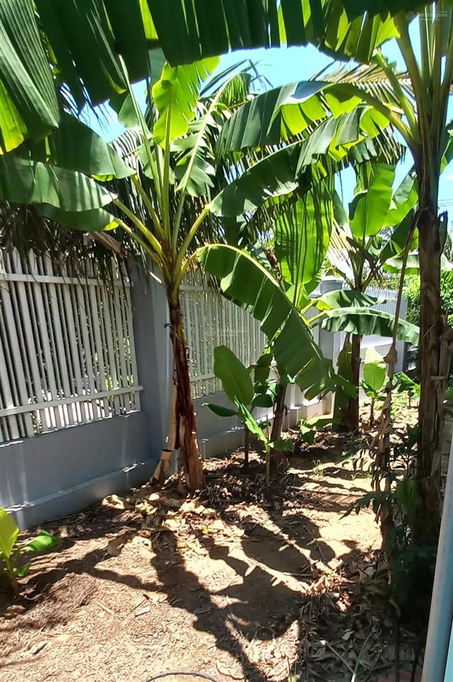 Nhà và đất. 890 m2. 18 tỷ. business opportunity.