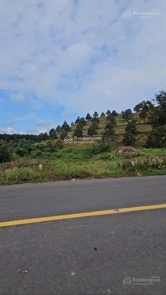 Bán 2,5ha đất khu dân cư đạ tẻh giá chỉ 190.000đ/m2, có sẵn thổ cư và nhà kiên cố