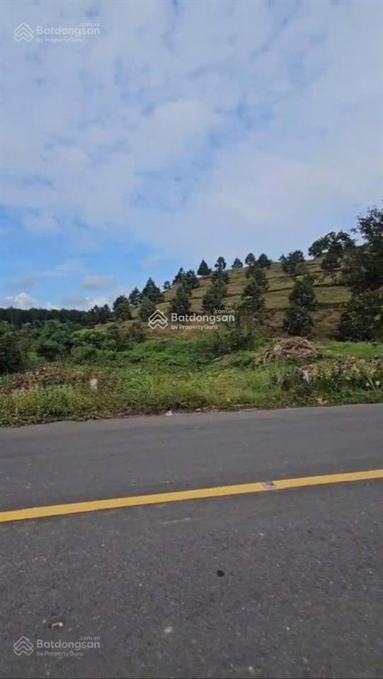 Bán 2,5ha đất khu dân cư đạ tẻh giá chỉ 190.000đ/m2, có sẵn thổ cư và nhà kiên cố
