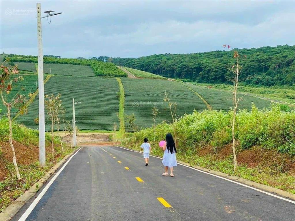 Cơ hội vàng gom lô góc 2 mặt tiền làng omm bảo lộc đón sóng cao tốc