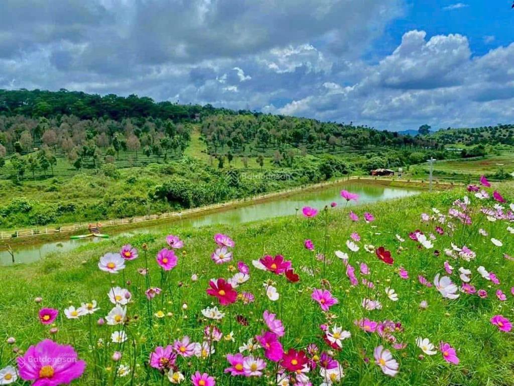 Cơ hội vàng gom lô góc 2 mặt tiền làng omm bảo lộc đón sóng cao tốc