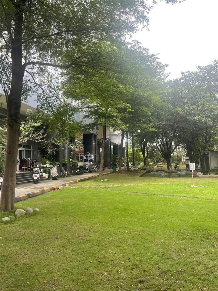 Chính chủ bán mong gặp được người có nhu cầu thực sự.