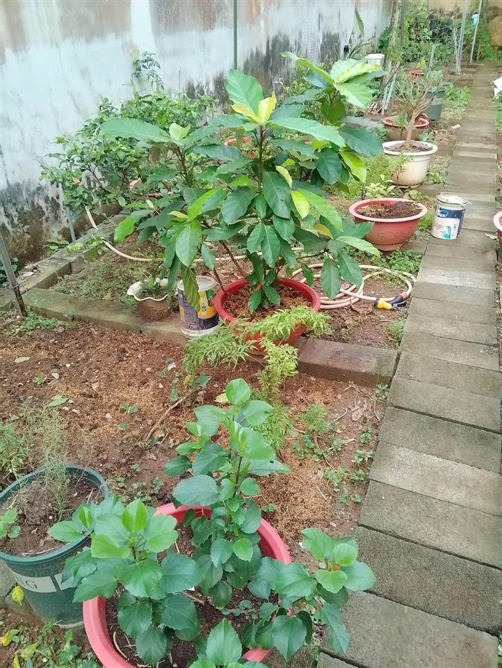 Bán đất 60, d3, tân nhơn phú, 10 tỷ, 105m2, giá siêu hời, chính chủ