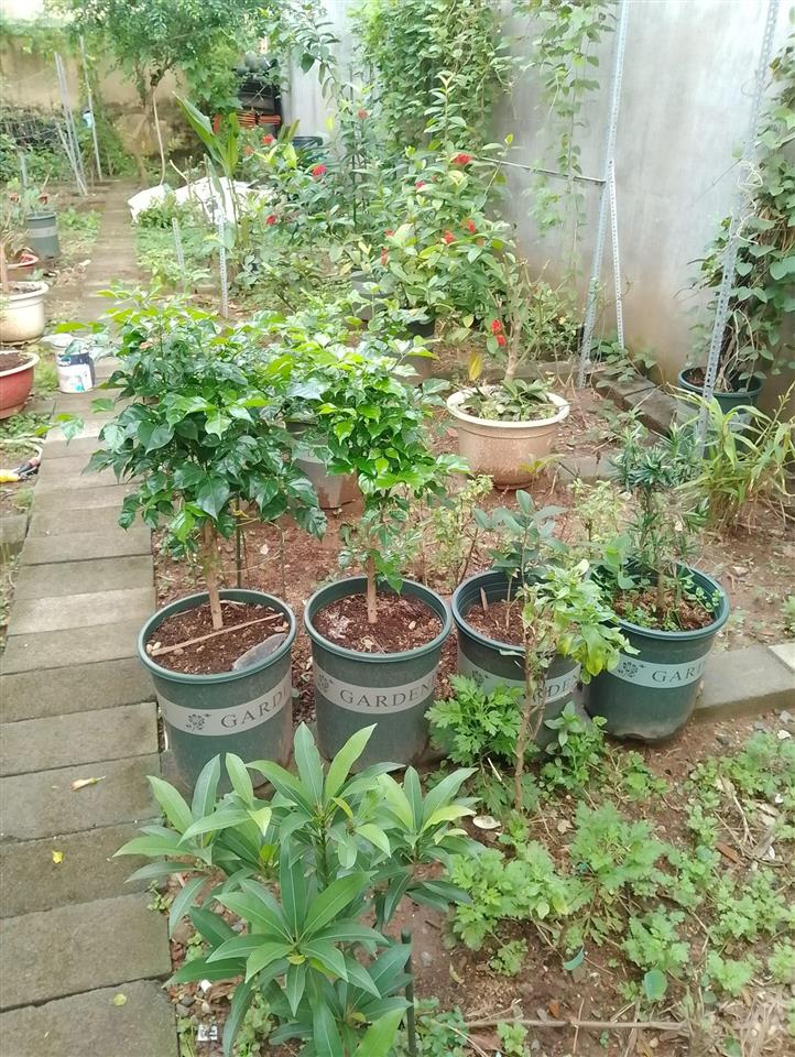 Bán đất 60, d3, tân nhơn phú, 10 tỷ, 105m2, giá siêu hời, chính chủ