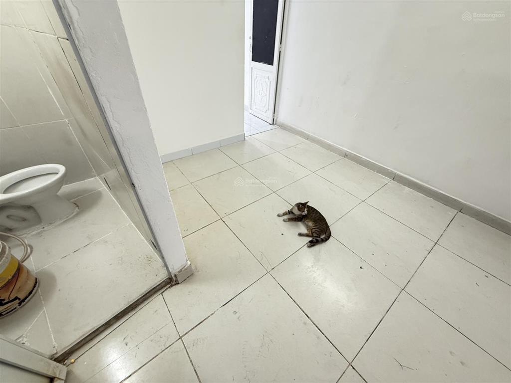 Cho thuê chung cư cũ 50m2  ngay lầu 1  tại cao lỗ, 4,5 triệu/th, thoáng mát, rộng rãi