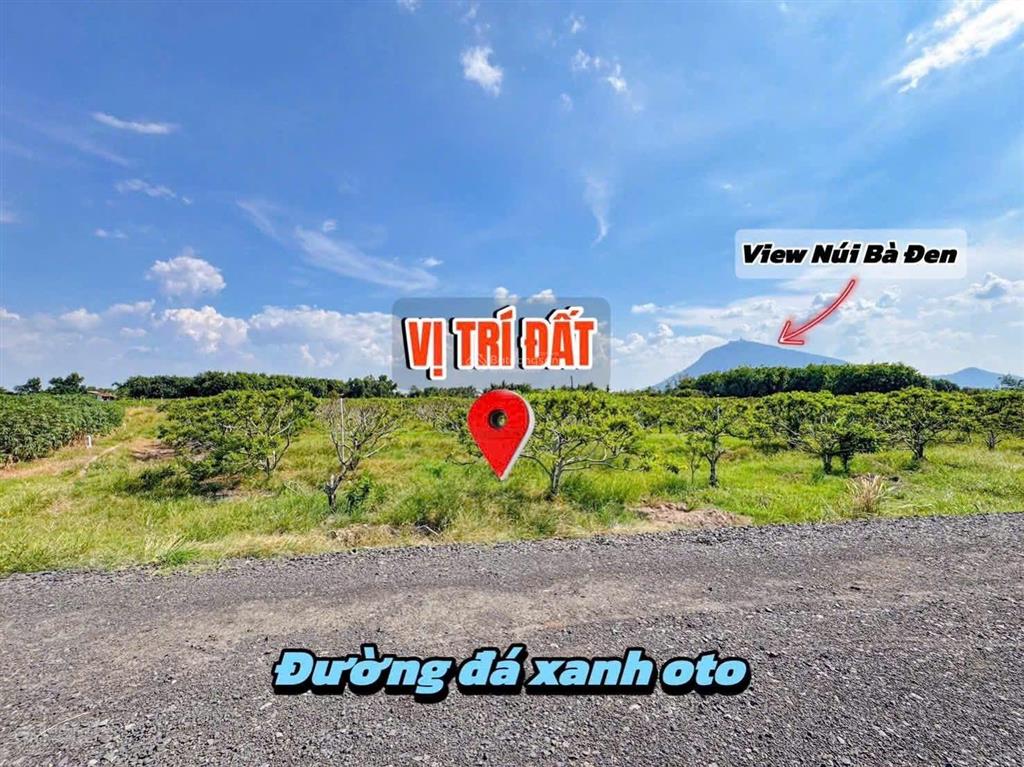 Bán đất đẹp dương minh châu tây ninh vị trí tiềm năng phát triển đầu tư và nhà ở