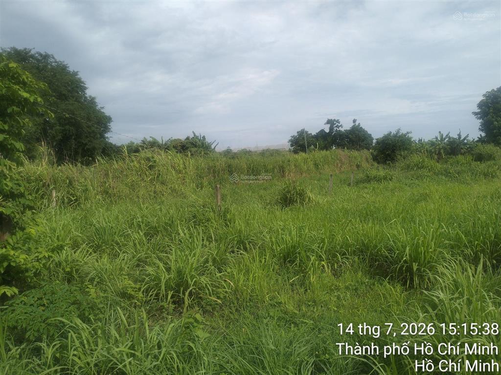 Cơ hội sở hữu đất đẹp tại đất đỏ, bà rịa vũng tàu.