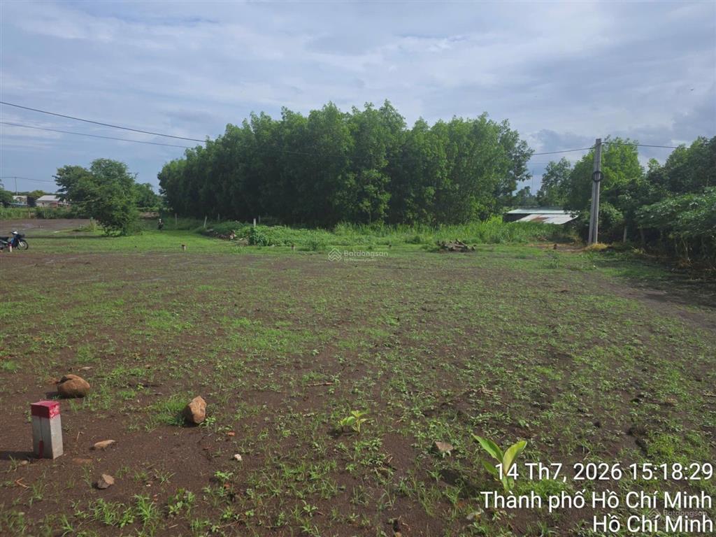 Bán đất tại thị trấn đất đỏ, 16 tỷ, 1149 m2, mặt tiền 18m thích hợp đầu tư xây dựng nhà xưởng