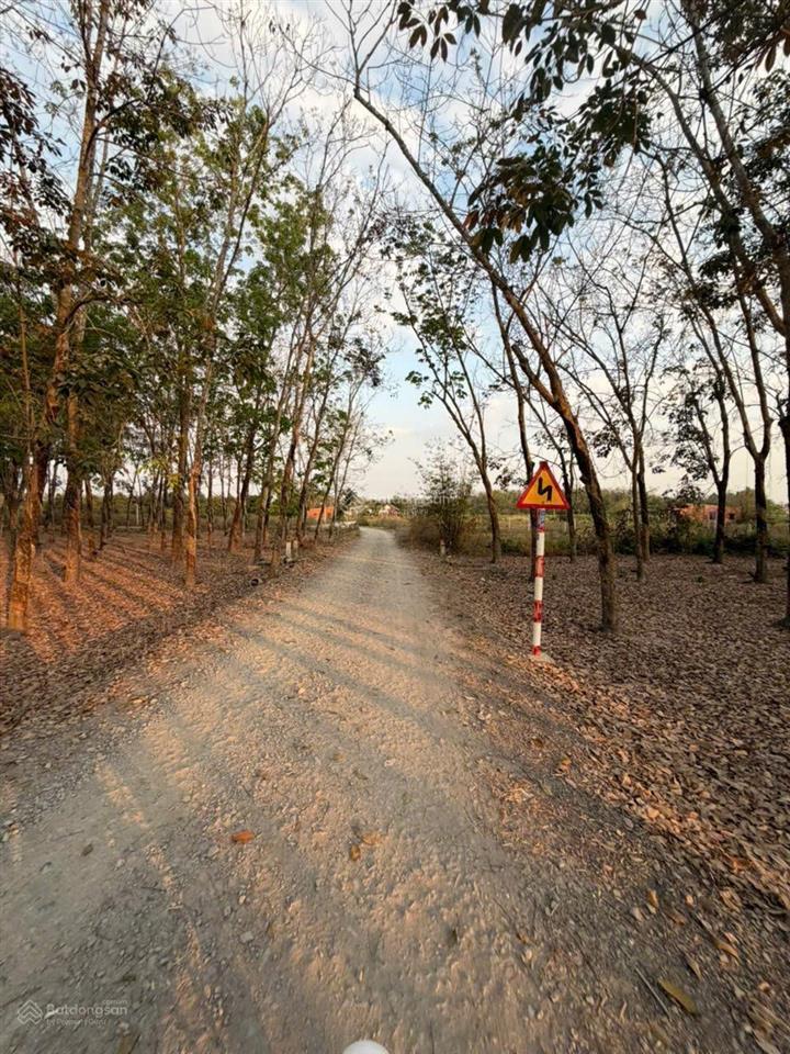 10x30m có 100m2 thổ cư. đường xe hơi. 390tr. rẻ