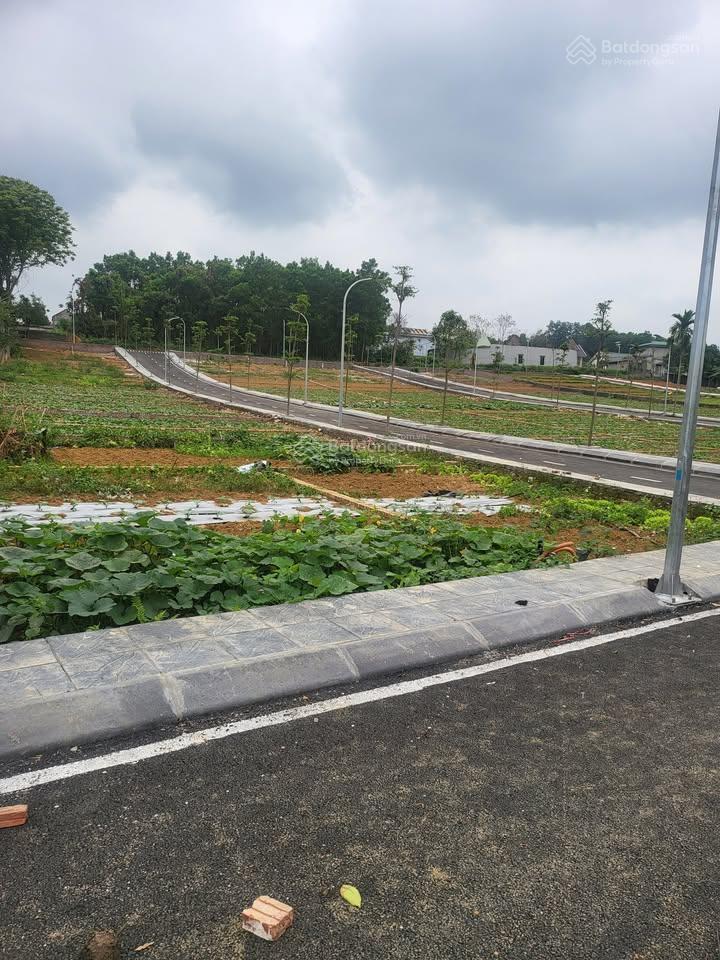 Full giá chỉ 650 triệu sở hữu ngay lô đất 80m full thổ cư