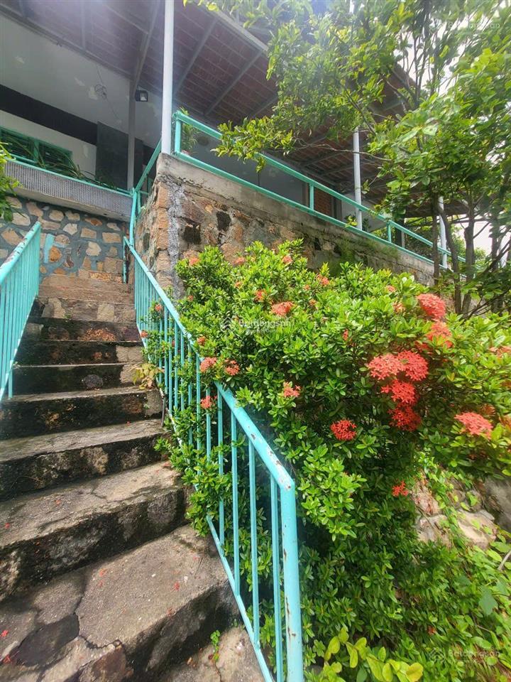 Chính chủ cần bán căn biệt thự mặt tiền biển đường hạ long vũng tàu, diện tích 336,7m2