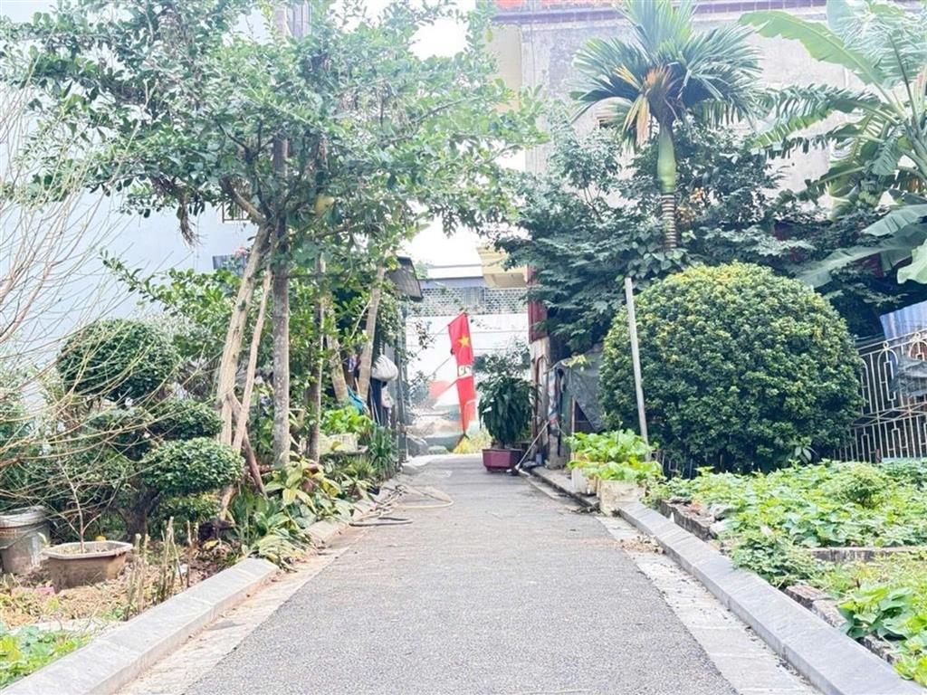 80M2 ĐẤT MAI LÂM( ĐÔNG ANH) - 5.2 TỶ