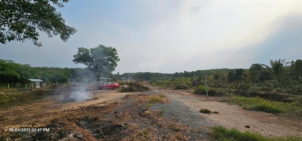 Bán 16.000m2 đất 2 mặt tiền sông sg và đường  qh tmdv và ont  thuận tiện bến bãi !