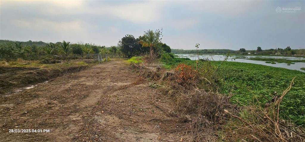 Bán 16.000m2 đất 2 mặt tiền sông sg và đường  qh tmdv và ont  thuận tiện bến bãi !