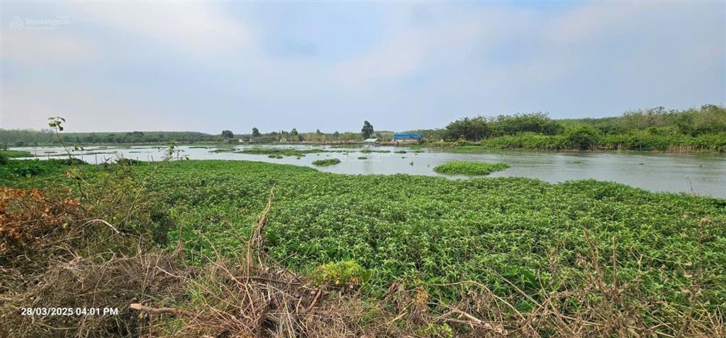 Bán 16.000m2 đất 2 mặt tiền sông sg và đường  qh tmdv và ont  thuận tiện bến bãi !