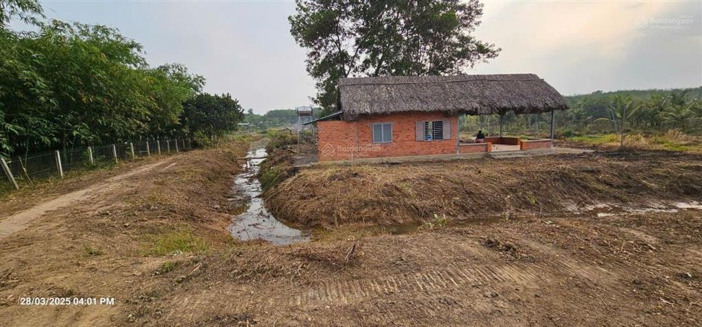 Bán 16.000m2 đất 2 mặt tiền sông sg và đường  qh tmdv và ont  thuận tiện bến bãi !