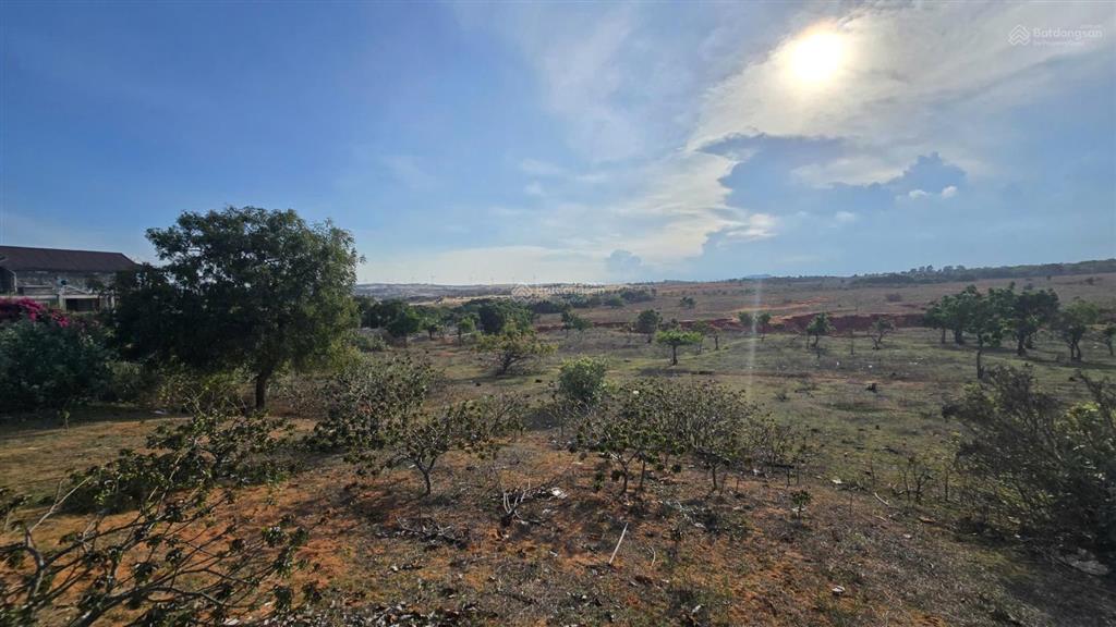 Bán 1,4ha đất view biển hòa thắng  90m mặt tiền đường nhựa!
