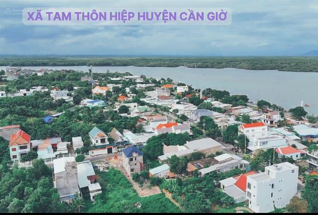 Bán 2.56ha đất cln tại tam thôn hiệp