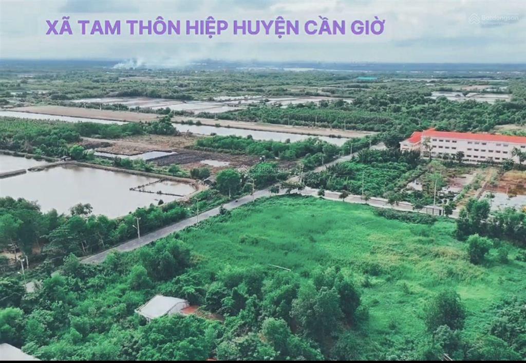 Bán 2.56ha đất cln tại tam thôn hiệp