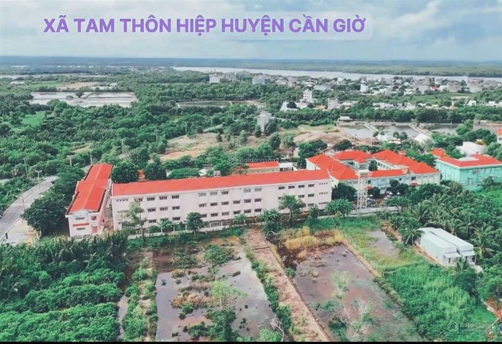 Bán 2.56ha đất cln tại tam thôn hiệp