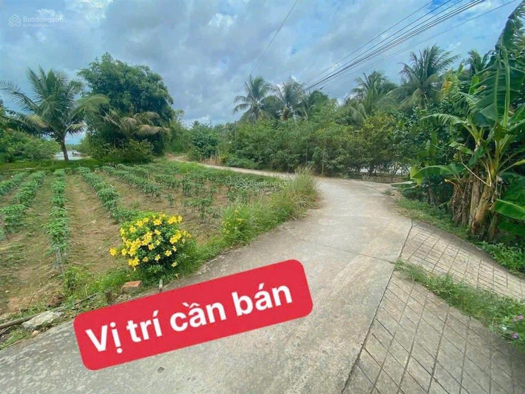 Bán đất vĩnh long 165tr / 126m2