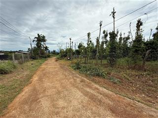 Chính chủ cần bán đất rẫy view siêu đẹp ngắm hồ thuỷ điện đakrtik rất thích hợp làm homestay