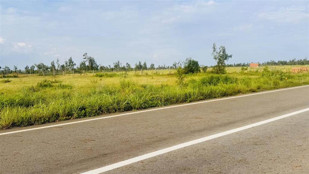 Mặt tiền nhựa chính về novaworld phan thiết