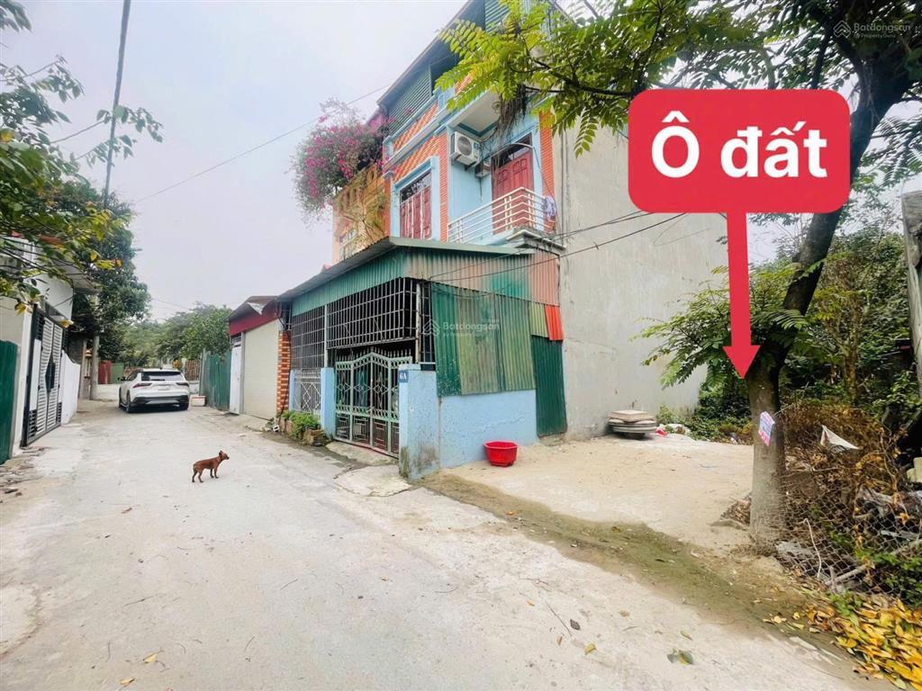 Chỉ hơn 2 tỷ sở hữu ngay đất đẹp thôn gẩy định trung, vĩnh yên dt100m mt5m nở hậu đẹp, ô tô đỗ cửa
