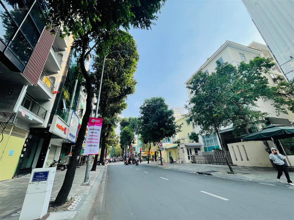Cho thuê tmv cao cấp  mạc đĩnh chi  q1  vị trí trung tâm sầm uất