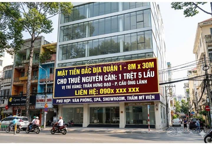 Siêu phẩm mặt tiền trần hưng đạo, quận 1 diện tích khủng 240m
