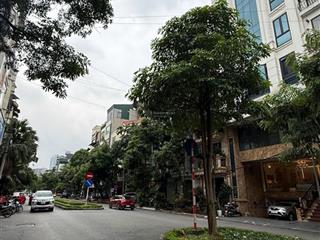 Mặt phố q.cầu giấy  140m2  mặt đường 4 làn xe  vỉa hè 5m  kinh doanh  building
