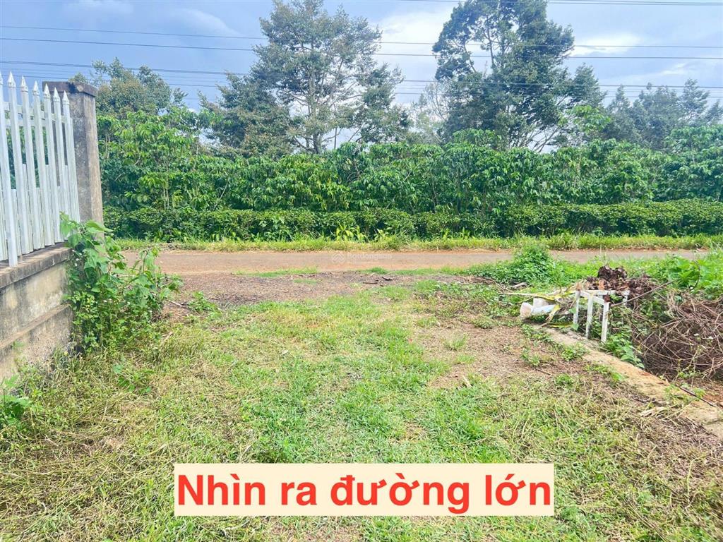 Cần bán đất gấp, xã lộc an, huyện bảo lâm, lâm đồng, giá 600tr