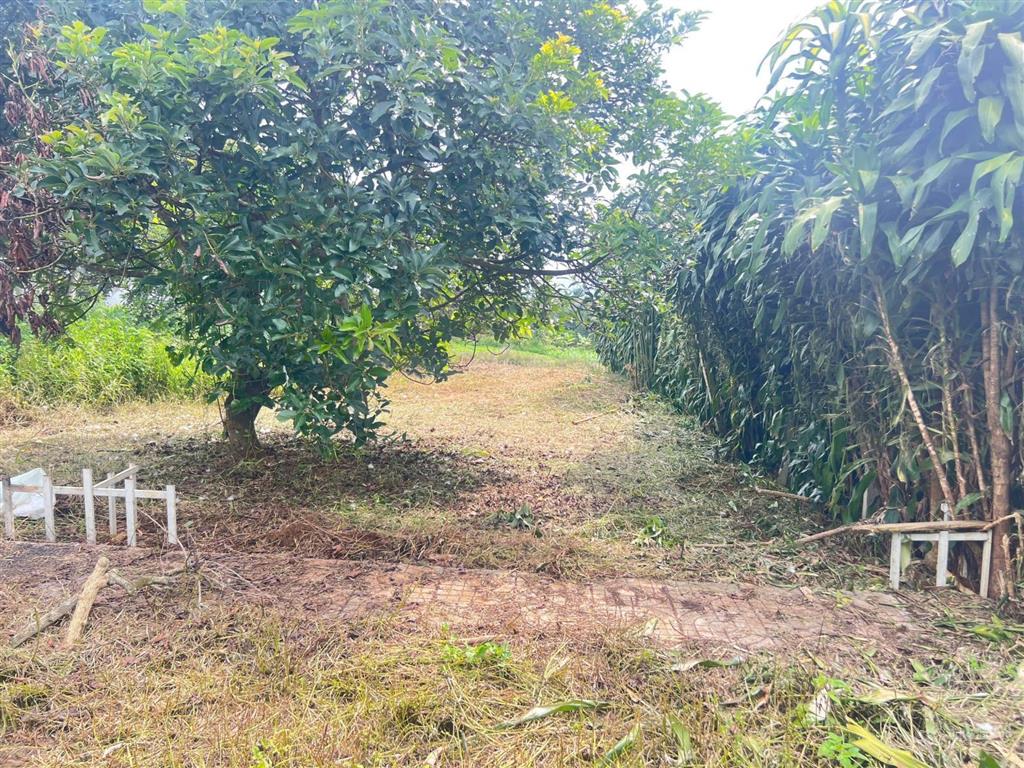 Cần bán đất gấp, xã lộc an, huyện bảo lâm, lâm đồng, giá 600tr