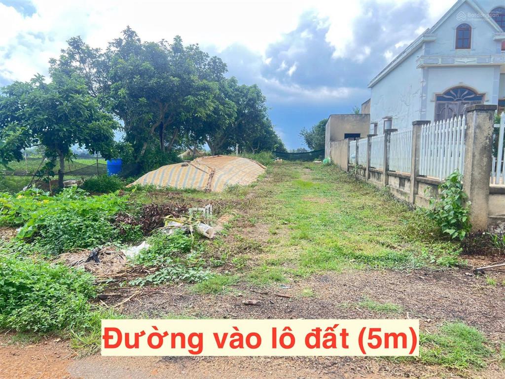 Cần bán đất gấp, xã lộc an, huyện bảo lâm, lâm đồng, giá 600tr