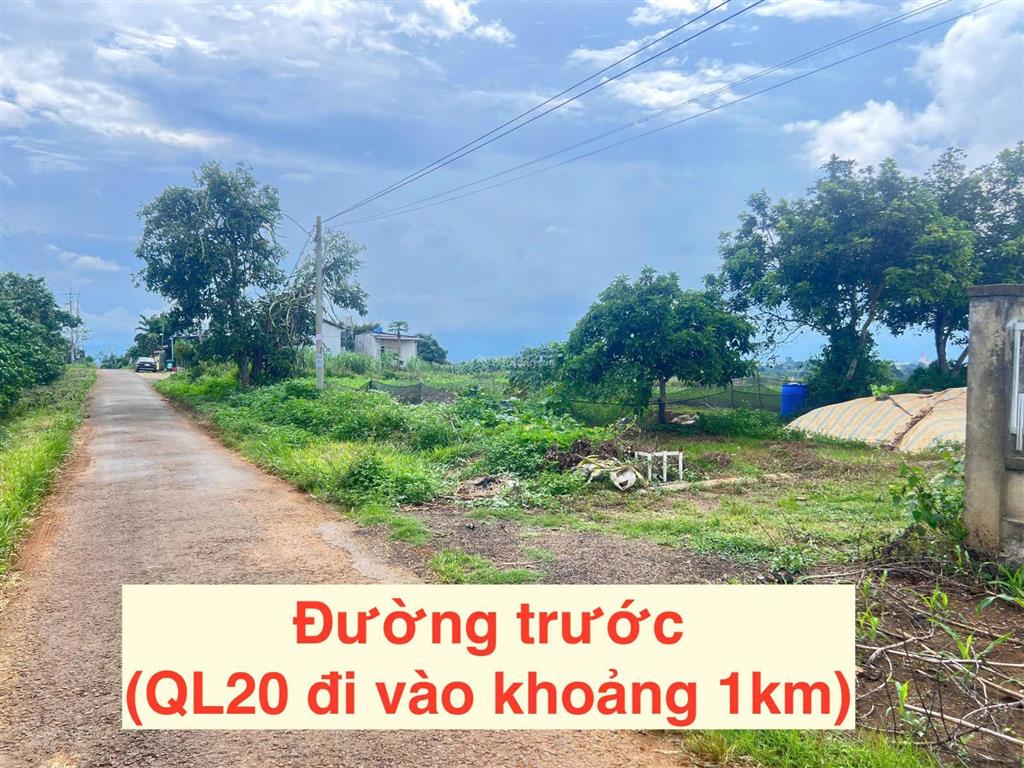 Cần bán đất gấp, xã lộc an, huyện bảo lâm, lâm đồng, giá 600tr