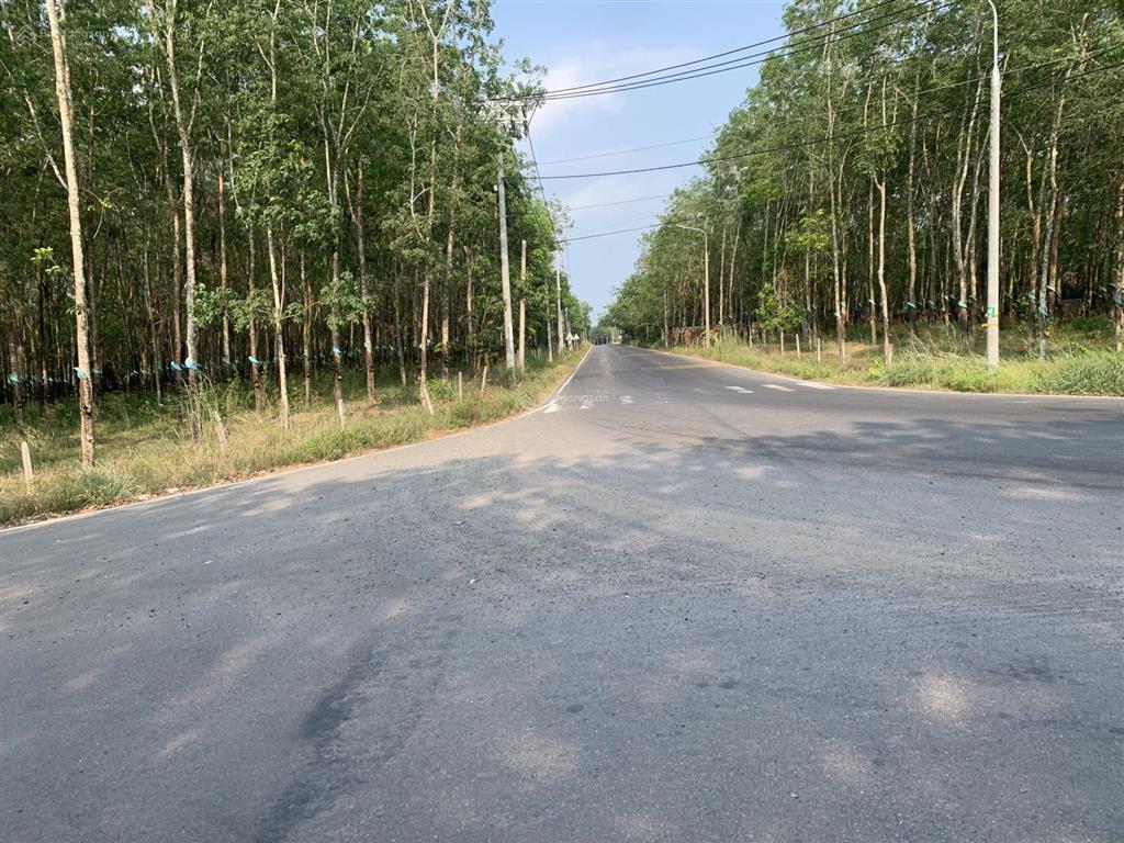 Bán đất tại bàu cạn, long thành, 1000 m2, mặt tiền đường bàu cạn, gần sân bay long thành