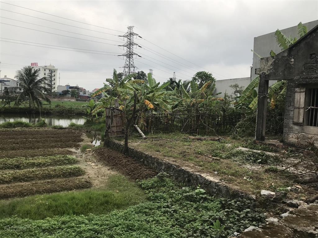 Bán đất 100m2 giá 1,3 tỷ tại xóm bờ sông giá, ngũ lão cũ, thủy nguyên, hải phòng