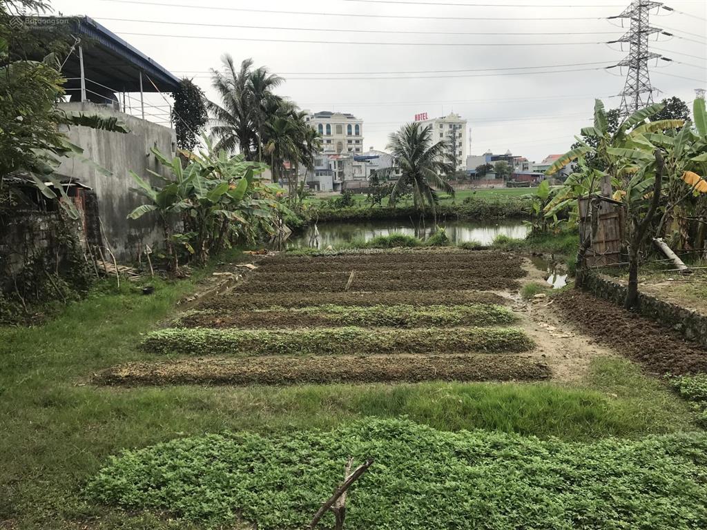 Bán đất 100m2 giá 1,3 tỷ tại xóm bờ sông giá, ngũ lão cũ, thủy nguyên, hải phòng