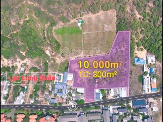 Bán đất 10.000m² mt lạc long quân, p. tiến thành, phan thiết, bt có sẵn 300m² thổ cư giá 5.5tr/m2