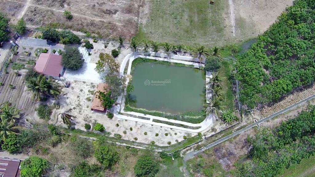 Cho thuê đất vườn view đẹp diện tích 10.000m2 mở quán