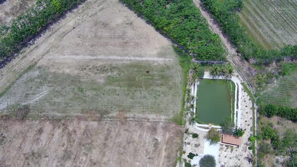 Cho thuê đất vườn view đẹp diện tích 10.000m2 mở quán