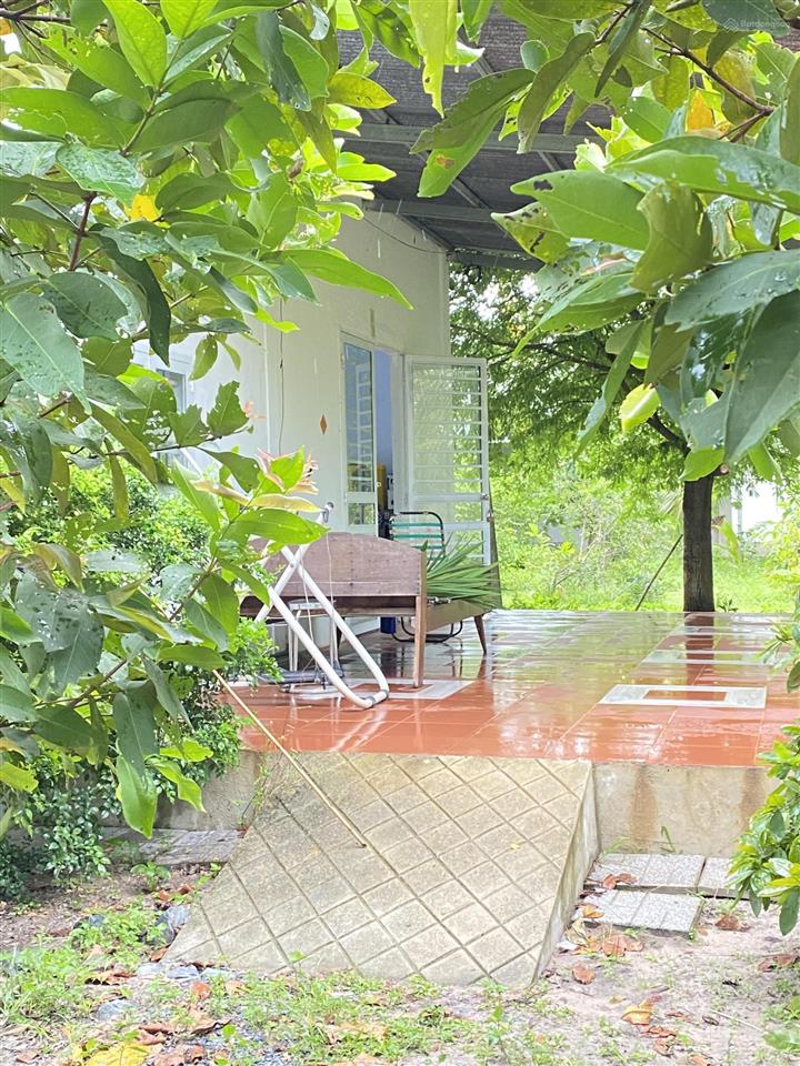 Cho thuê đất vườn view đẹp diện tích 10.000m2 mở quán