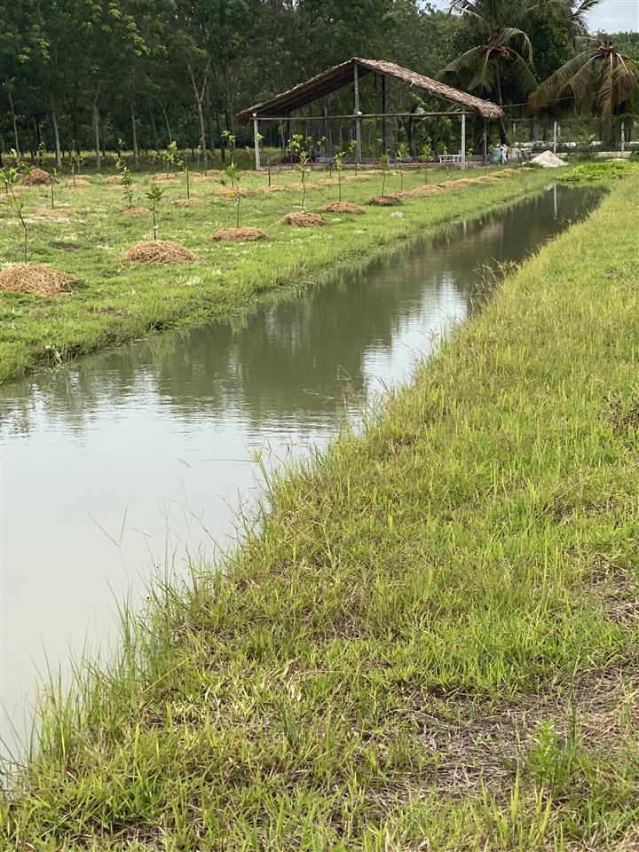 Cho thuê đất vườn view đẹp diện tích 10.000m2 mở quán