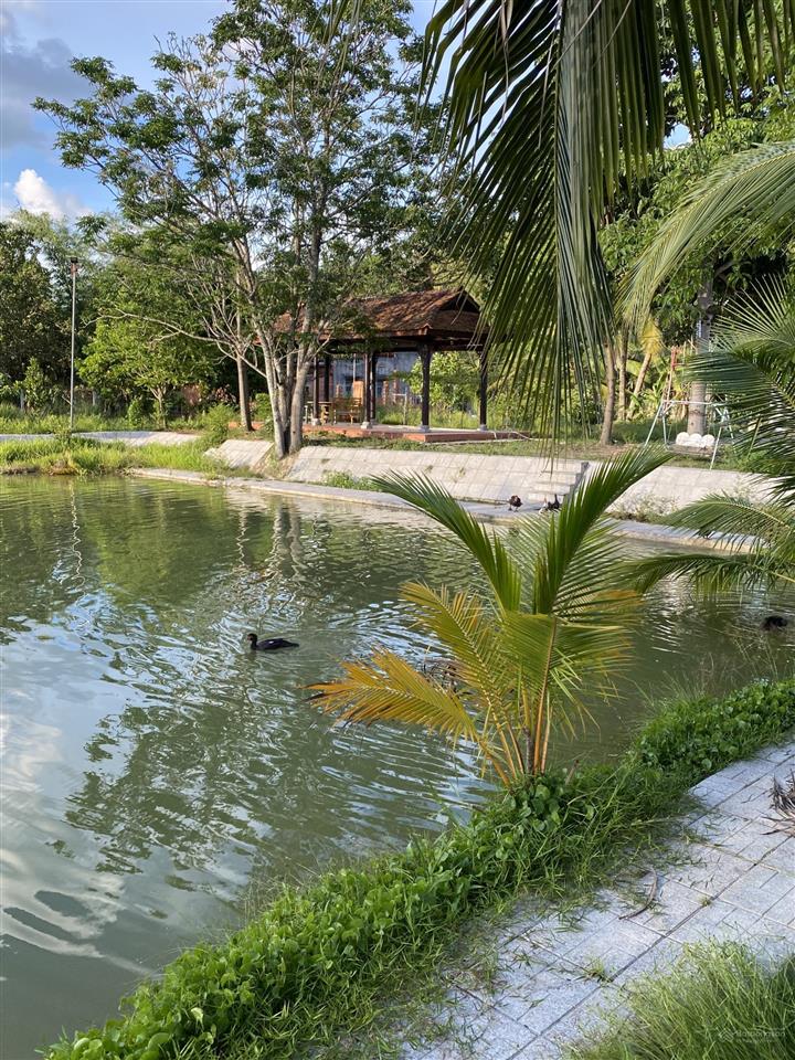 Cho thuê đất vườn view đẹp diện tích 10.000m2 mở quán