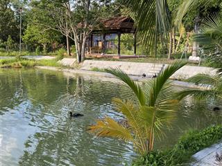 Cho thuê đất vườn view đẹp diện tích 10.000m2 mở quán